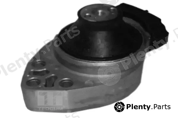 Tedgum 00226428 — Mounting, engine