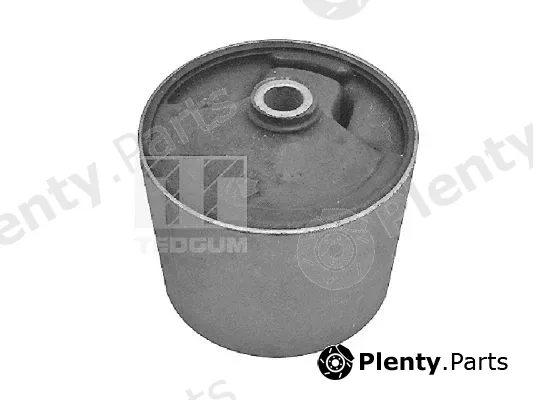 Tedgum 00396416 — Mounting, engine