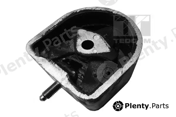 Tedgum 00415819 — Mounting, engine