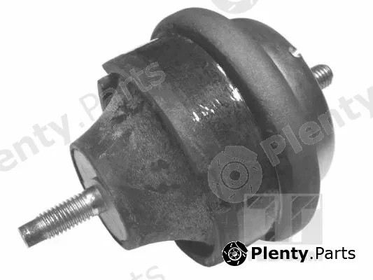 Tedgum 00605017 — Mounting, engine