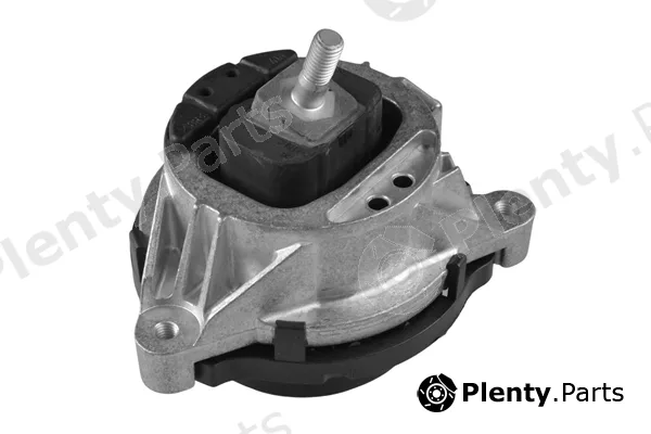 Tedgum TED24378 — Mounting, engine