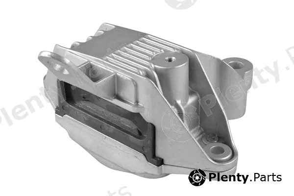 Tedgum TED89529 — Mounting, engine