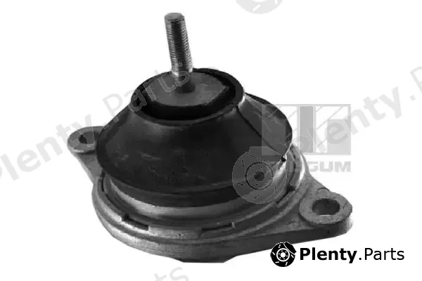 Tedgum 00059812 — Mounting, engine