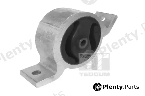 Tedgum 00466219 — Mounting, engine