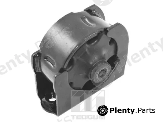 Tedgum TED10739 — Mounting, engine
