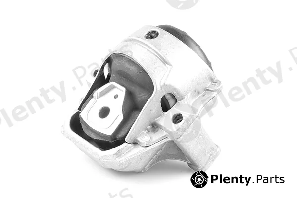 Tedgum 00058470 — Mounting, engine