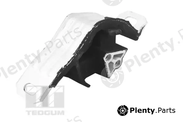 Tedgum 00504616 — Mounting, engine