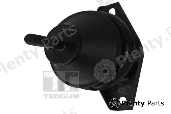 Tedgum 00600036 — Mounting, engine