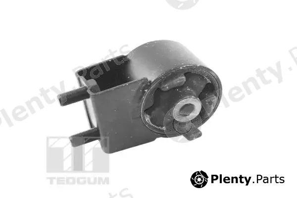 Tedgum 00391653 — Mounting, engine