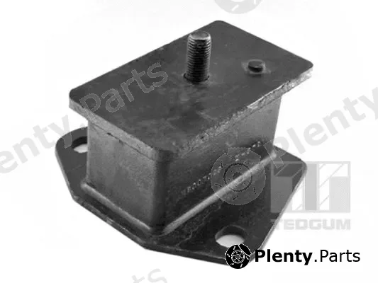 Tedgum 00441699 — Mounting, engine