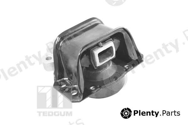 Tedgum TED70595 — Mounting, engine