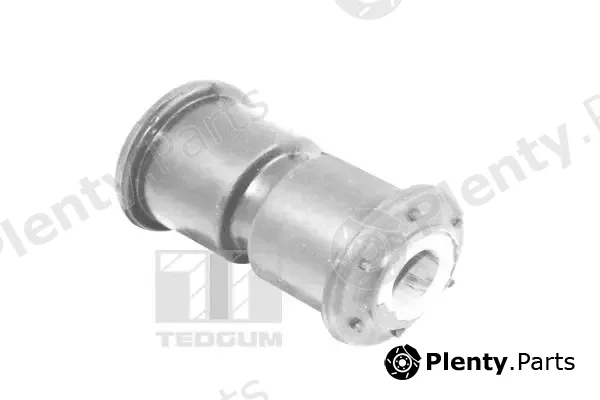 Tedgum 00212848 — Mounting, leaf spring