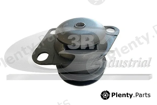 3RG 45916 — Mounting, engine
