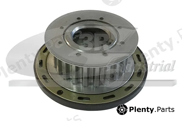 3RG 10250 — Deflection/Guide Pulley, timing belt