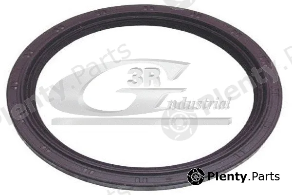3RG 80532 — Shaft Seal, crankshaft