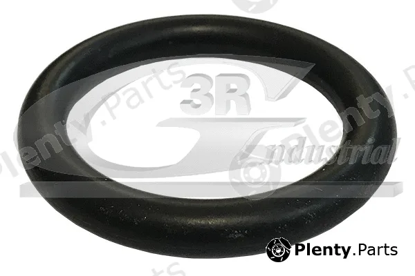 3RG 84219 — Gasket, intake manifold