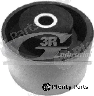 3RG 40231 — Mounting, engine