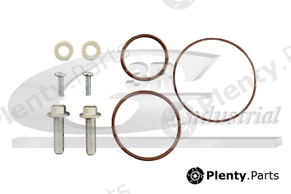 3RG 74205 — Repair Set, vacuum pump (braking system)