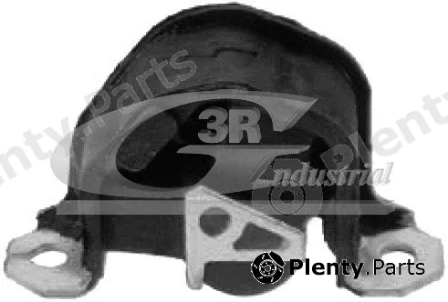 3RG 40421 — Mounting, engine