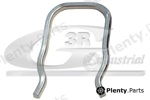 3RG 82221 — Retaining Spring, coolant flange sealing plug