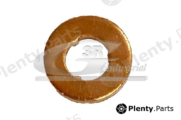 3RG 87205 — Seal Ring, injector