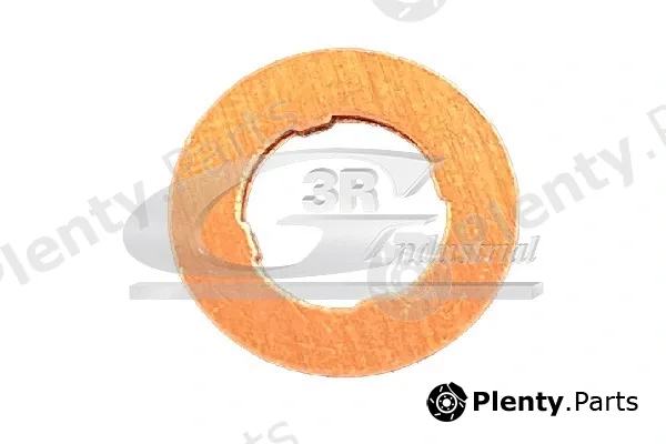 3RG 87706 — Seal Ring, injector