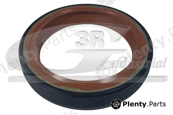 3RG 80435 — Shaft Seal, crankshaft