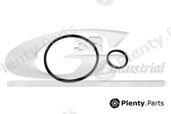 3RG 74209 — Seal Set, vacuum pump