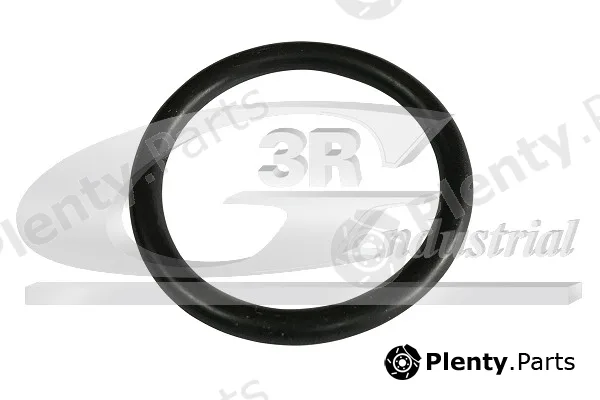 3RG 80081 — Seal, thermostat