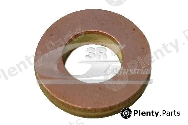 3RG 81637 — Seal Ring, injector