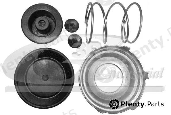 3RG 80033 — Repair Kit, fuel pump