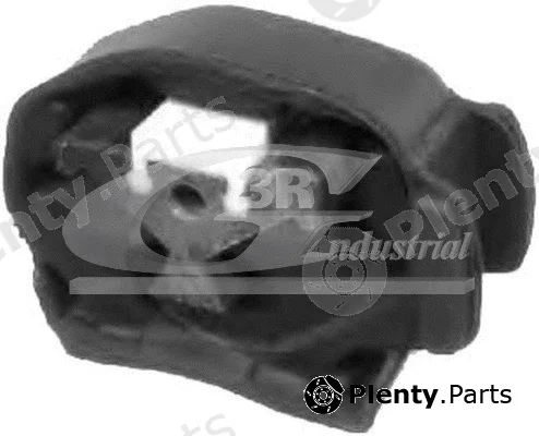 3RG 40516 — Mounting, engine