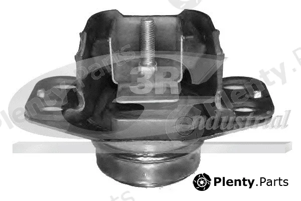 3RG 40662 — Mounting, engine