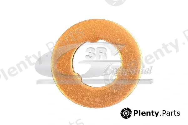 3RG 87503 — Seal Ring, injector