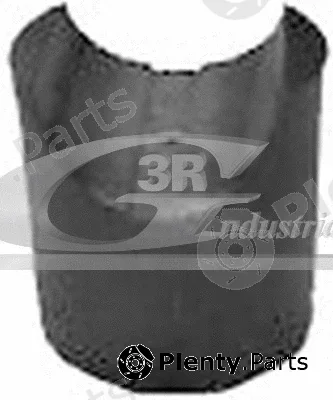 3RG 80607 — Bush, steering arm shaft