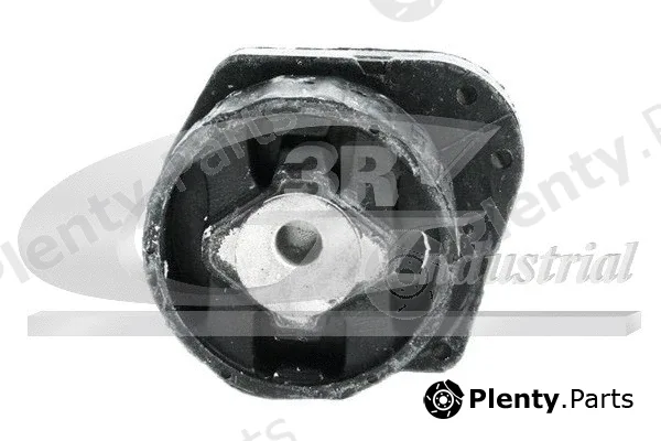 3RG 40118 — Mounting, engine