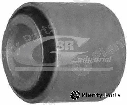 3RG 50244 — Bush, steering shaft
