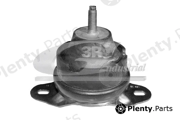 3RG 40244 — Mounting, engine