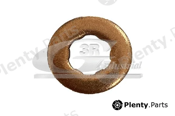 3RG 87203 — Seal Ring, injector