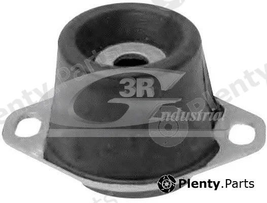 3RG 40257 — Mounting, engine