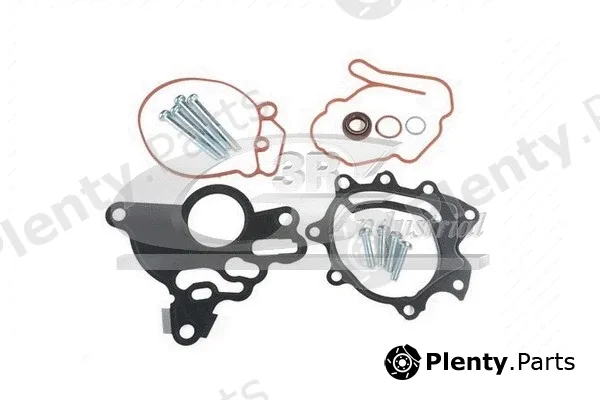 3RG 74702 — Repair Set, vacuum pump (braking system)