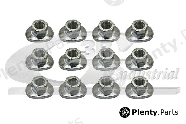 3RG 86287 — Wheel Nut