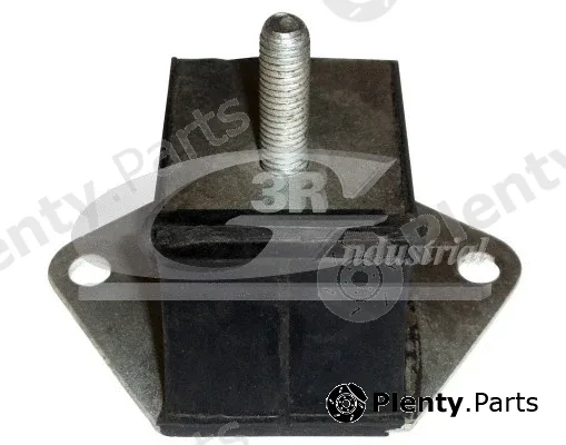 3RG 40205 — Mounting, engine