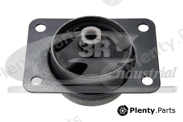 3RG 40813 — Mounting, engine