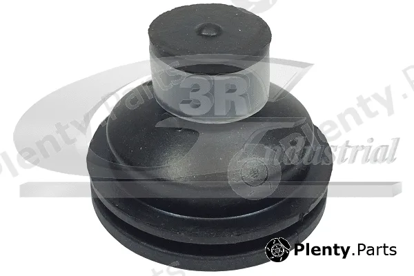 3RG 81653 — Mounting, engine