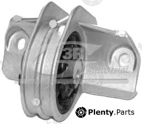 3RG 40631 — Mounting, engine