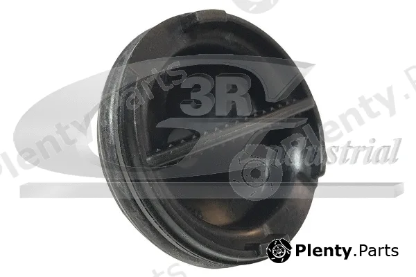 3RG 84216 — Screw Plug, oil sump