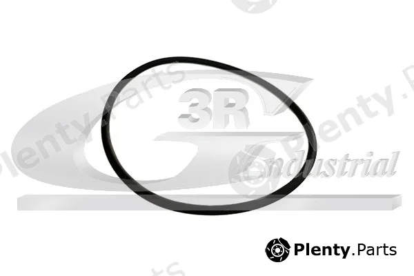 3RG 81091 — Gasket, timing case