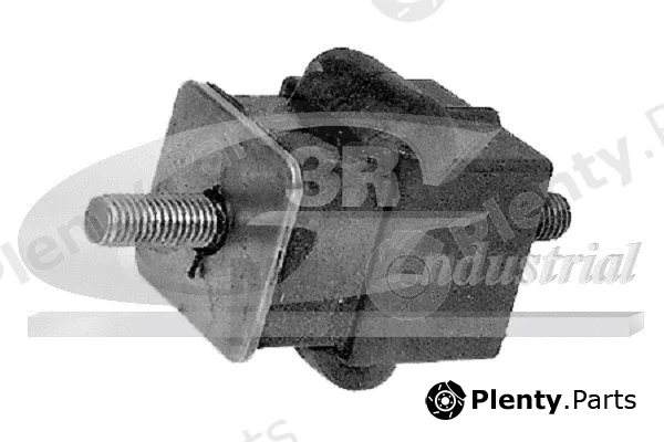3RG 40225 — Mounting, engine