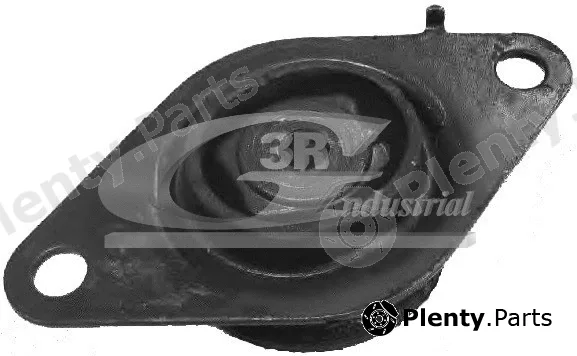 3RG 40655 — Mounting, engine